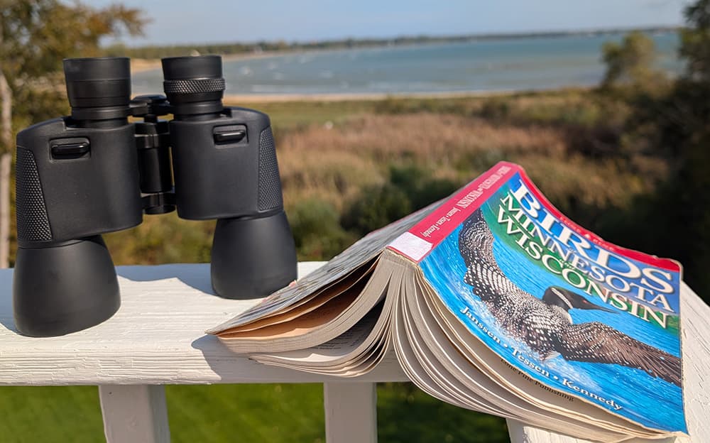 A pair of binoculars next to an open birdwatching guidebook on a sunny outdoor balcony overlooking a lake.