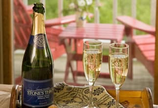 A bottle of sparkling wine and two fluted glasses sit on a decorative tray, with red chairs and greenery in the background.