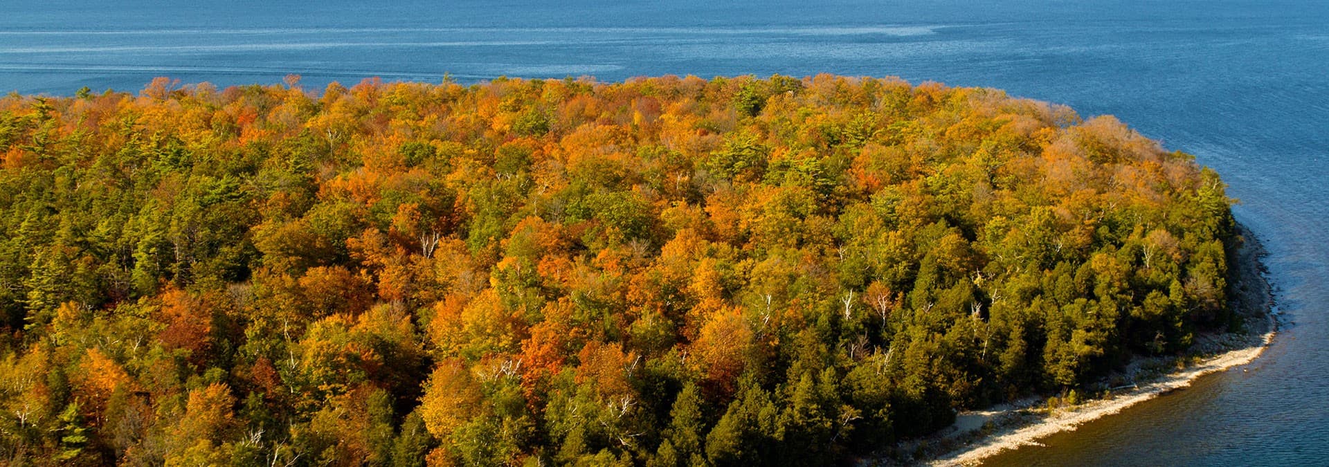 Aerial view of a forested island with vibrant autumn foliage beside a calm body of water.