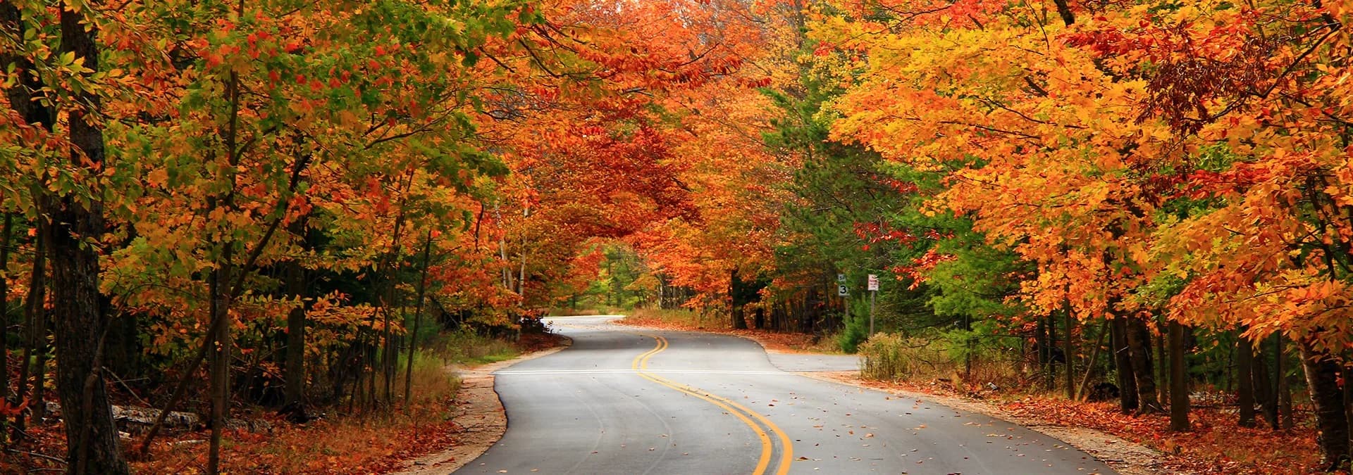 A winding road surrounded by vibrant autumn trees in shades of orange and yellow.