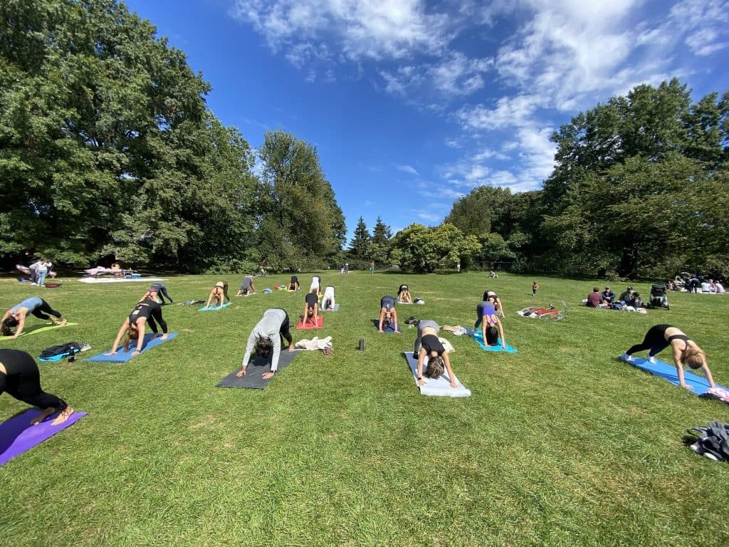yoga on the lawn