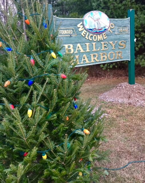 Town sign and Christmas tree