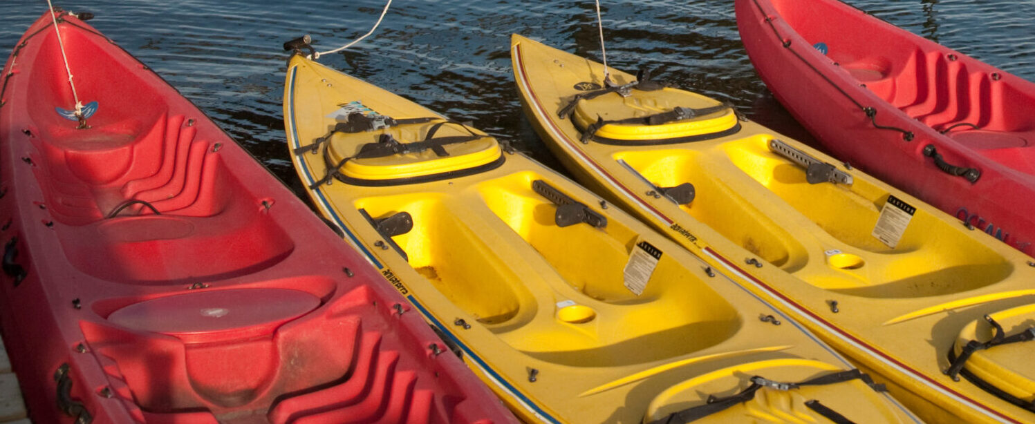 Kayaks in the water