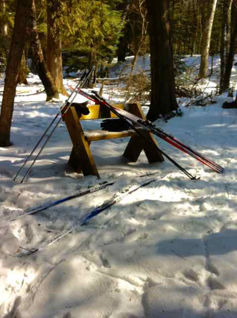 Classic cross country skis take a rest on the trail at Whitefish Dunes State Park.