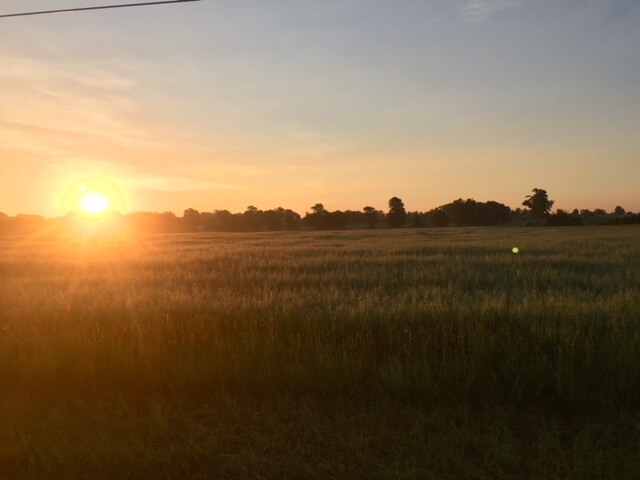 Sunset over Door County field