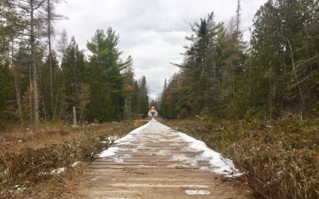 Ridges boardwalk