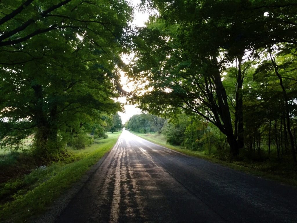 Straightaway under trees